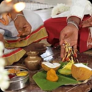 Institution Organises