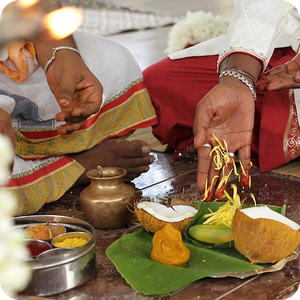 Institution Organises